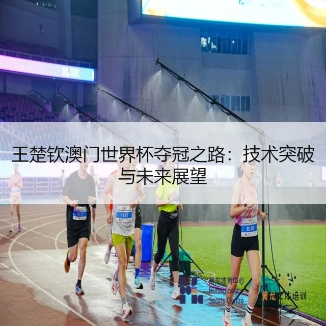 王楚钦澳门世界杯夺冠之路：技术突破与未来展望